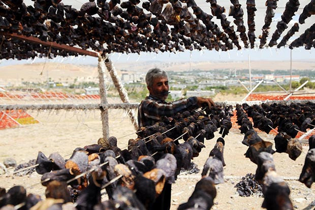 Gaziantep'te kurutmalık zamanı