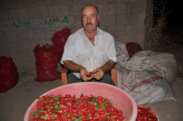 'Acı'dan para kazanıyorlar 