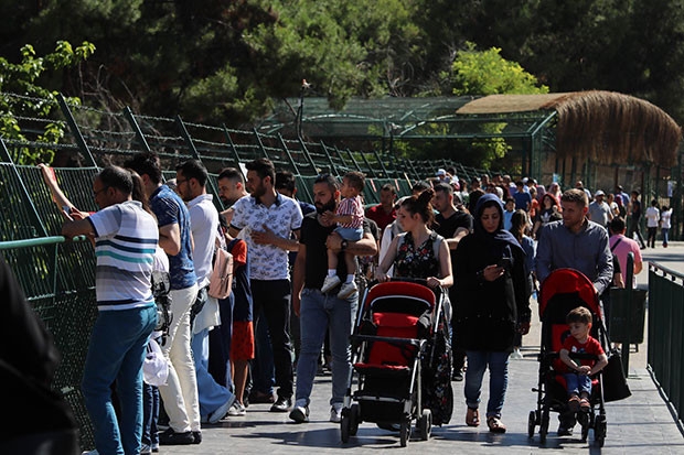 Hayvanat Bahçesi rekorları alt üst ediyor