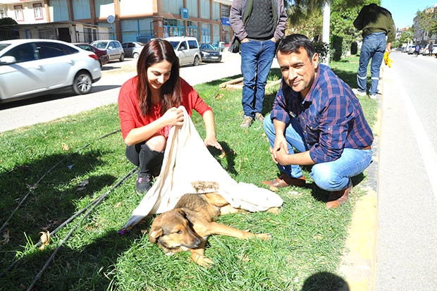 Üniversite öğrencisinden şefkat eli