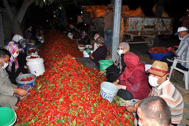 Kadınların acı mesaisi