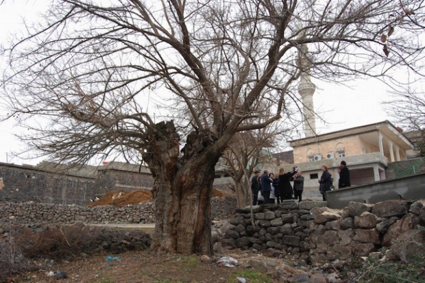 Beş asırdır dimdik ayakta