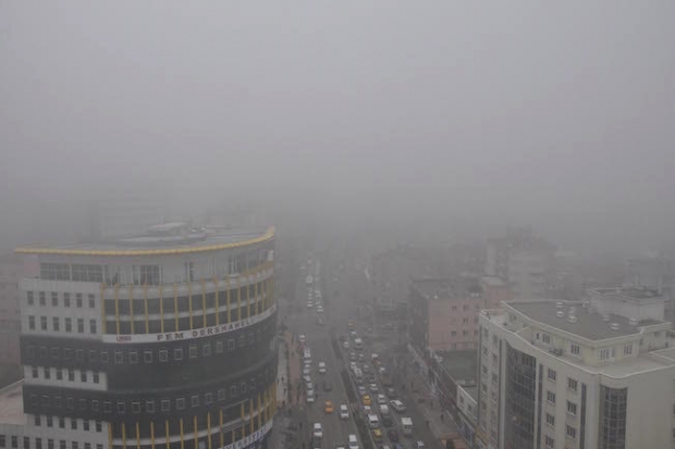 Yoğun sis, zor durumda bıraktı