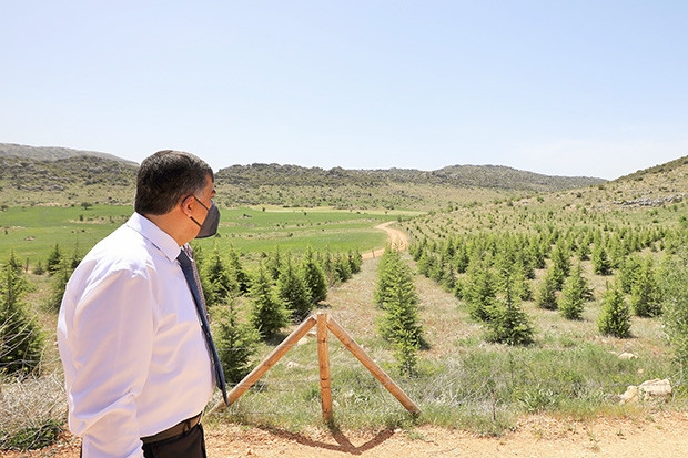 Şehitkamil Ormanı’na dikilen fidanlar büyüyor