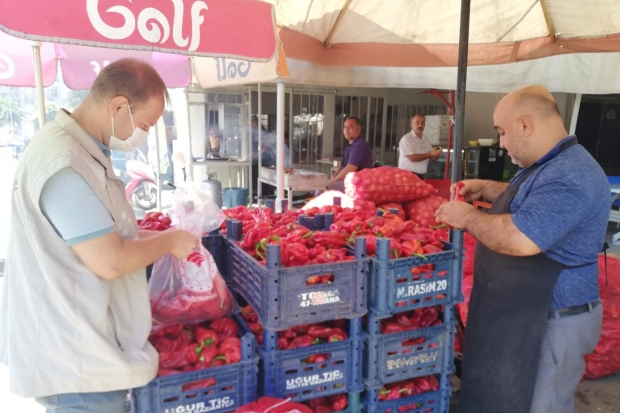 Taze Kırmızı Bibere Hasat sonrası denetim