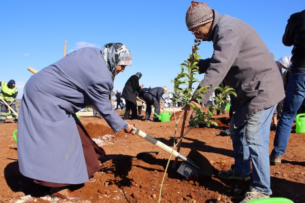 ‘Bi Dünya Yeşil’ Şehitkamil ile büyüyor