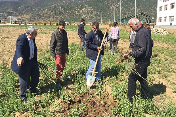 Öğrenciler fidan diktiler