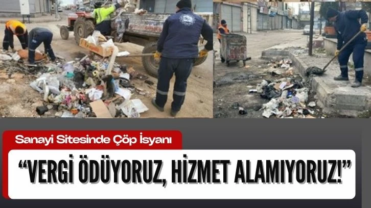 Sanayi Sitesinde Çöp İsyanı: “Vergi Ödüyoruz, Hizmet Alamıyoruz!”