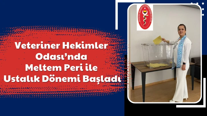 Veteriner Hekimler Odası’nda Meltem Peri ile Ustalık Dönemi Başladı