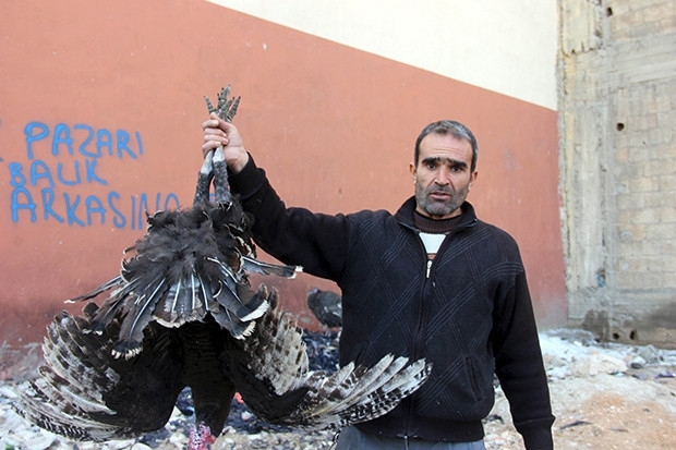 Gaziantep'te yılbaşı hindileri elde kaldı