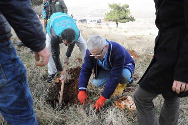 Önce denetliyor sonra ağaç dikiyor