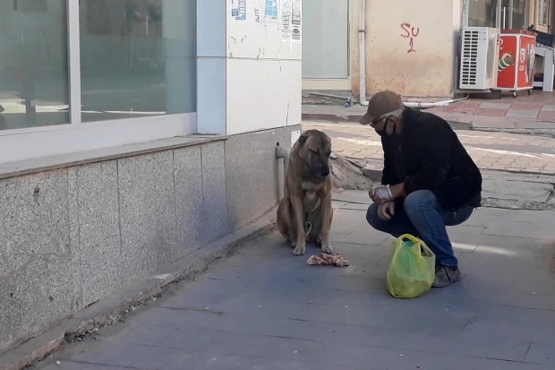 Sokak hayvanları unutulmadı